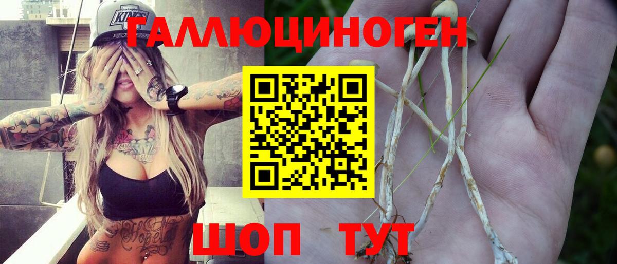 Рославль  где купить наркоту  Вход с VPN  Галлюциногенные грибы GOLDEN TEACHER 